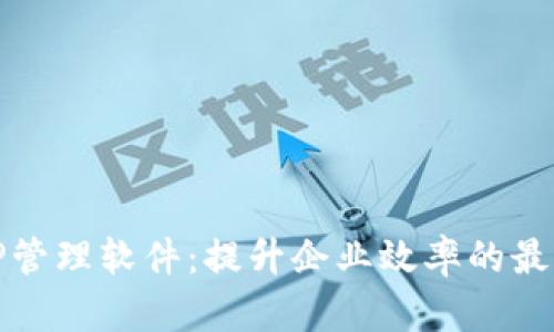 全面解析TP管理软件：提升企业效率的最佳解决方案