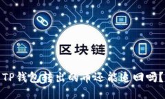 TP钱包转出的币还能追回吗