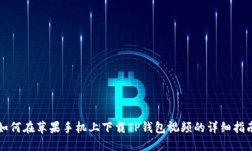 如何在苹果手机上下载TP钱包视频的详细指南