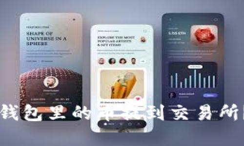 如何将TP钱包里的币提到交易所？完整指南