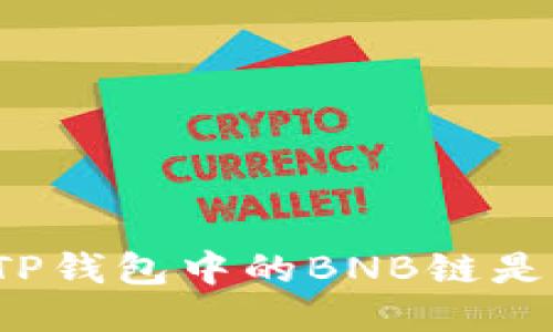 你知道TP钱包中的BNB链是什么吗？