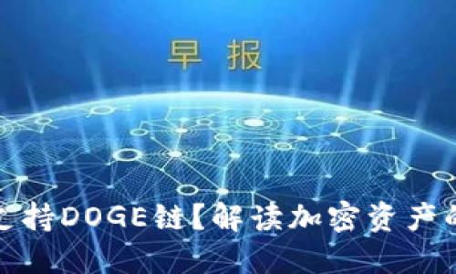 TP钱包是否支持DOGE链？解读加密资产的多样化选择