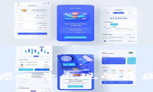 TP钱包红色感叹号出现的原因及解决方法