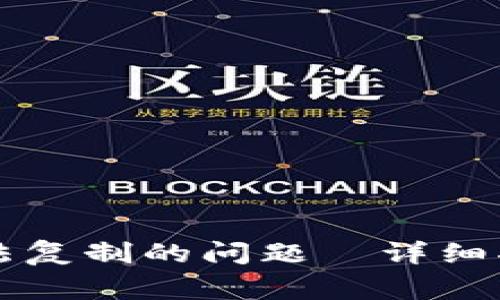 解决TP钱包地址无法复制的问题—详细指导与常见解决方案