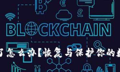 TP钱包被删除了怎么办？恢复与保护你的数字资产的指南