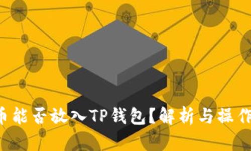 FIL币能否放入TP钱包？解析与操作指南