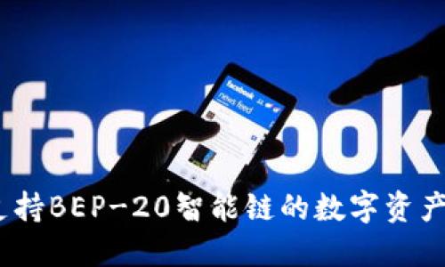 TP钱包：全面支持BEP-20智能链的数字资产管理解决方案