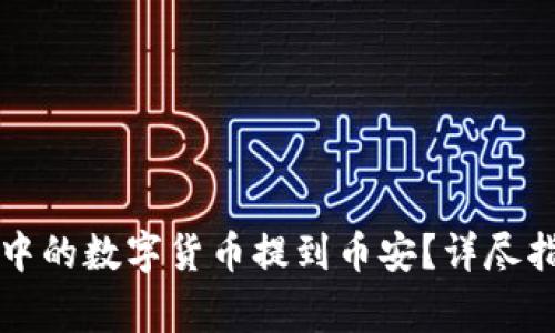 如何将TP钱包中的数字货币提到币安？详尽指南与注意事项