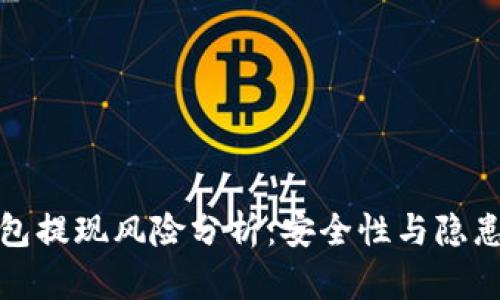 TP钱包提现风险分析：安全性与隐患详解